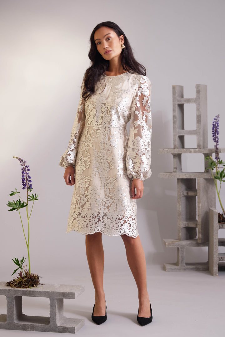 PBO PBOLyci kjole DRESSES 140 Champagne